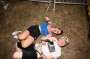 Thumbs/tn_Bog on the Beach 157.jpg